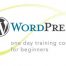Wordpress training